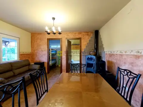 Finca rústica en calle Término El Plano, nº 295