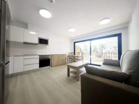 Piso en Avenida Alcalde Paco Gonzalez