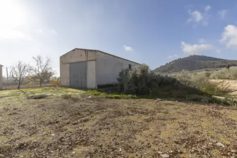 Nave industrial en Vega de Granada Zona Noroeste