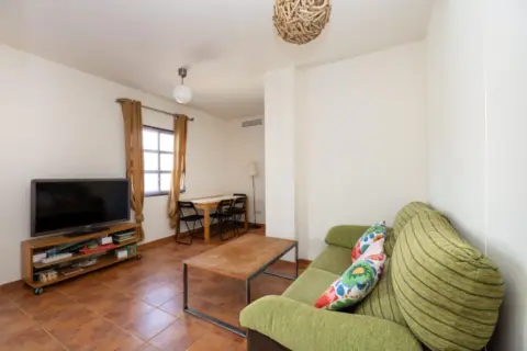 Apartamento en calle Rector José Vida Soria, 10