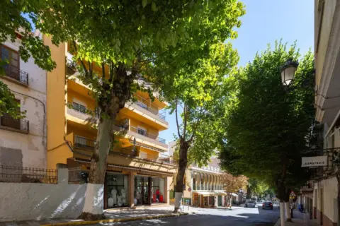 Apartamento en Avenida Alpujarra