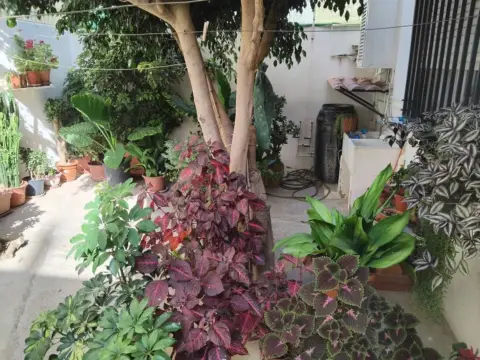 Chalet en Carrer de Santa Anna