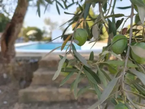 Chalet en Urb. Frutales del Alcor