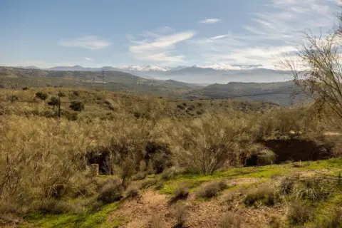 Finca rústica en El Fargue