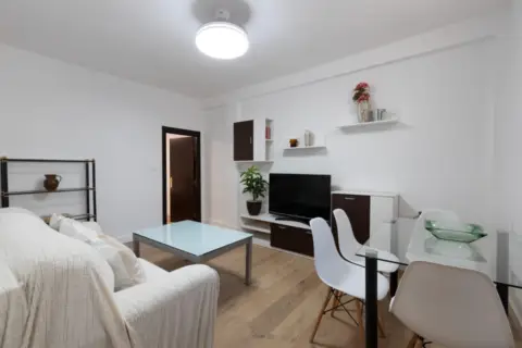 Piso en calle Pintor López Mezquita