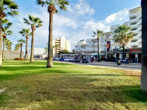 Apartamento en Playa Sa Coma