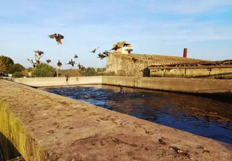 Finca rústica en Muro