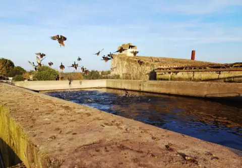 Finca rústica en Muro