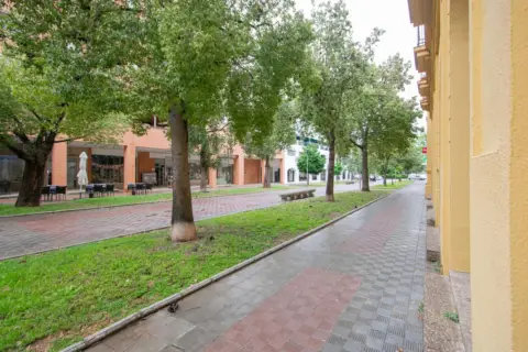 Piso en Avenida del Alcalde Luis Uruñuela