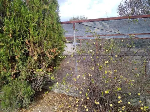 Finca rústica en Benalúa de Las Villas