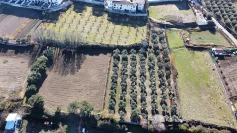 Finca rústica en La Zubia