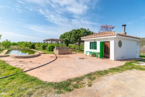 Terreno en Padul