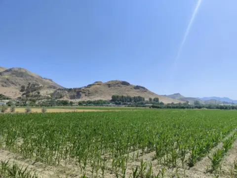 Terreno en Carretera de Pinos Puente