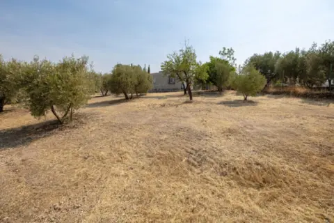 Finca rústica en calle de Moraleda A Cómpeta