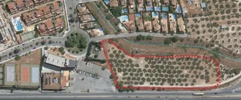 Terreno en calle de los Juncos