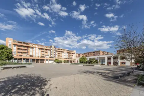 Garaje en calle del Recreativo de Granada