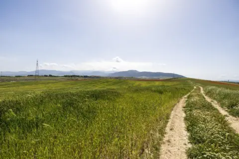 Terreno en Carretera de Otura, 6
