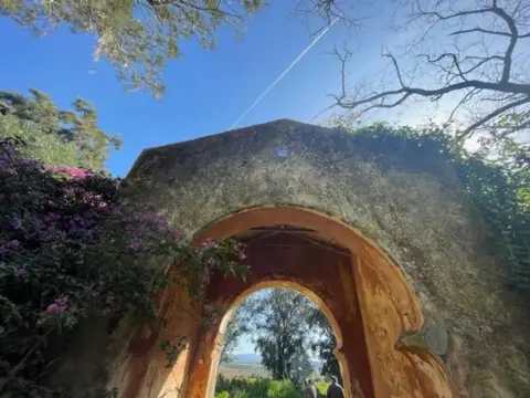 Finca rústica en calle N-340