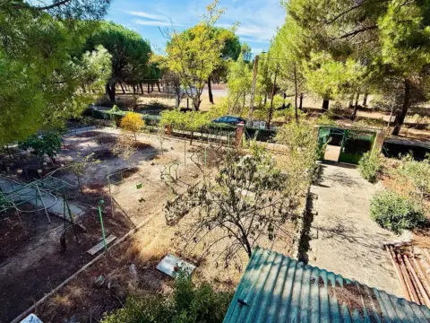 Chalet en calle El Nogal