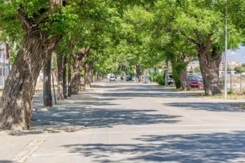 Terreno en Avda America