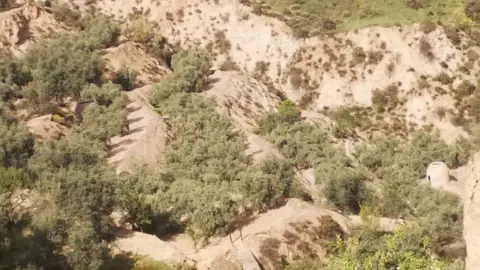 Finca rústica en Valle de Lecrin