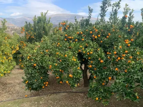 Finca rústica en Restabal