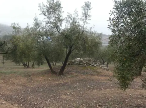 Terreno en Vega de Granada Zona Noroeste