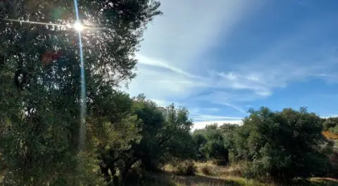 Terreno en Nívar