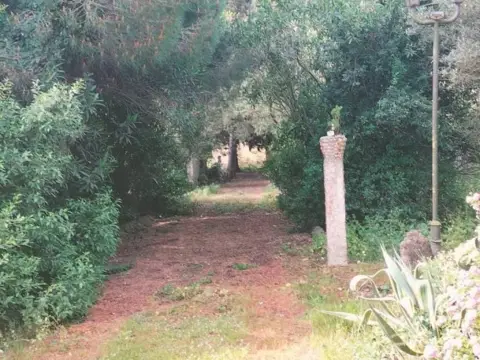 Finca rústica en Pinar de los Franceses