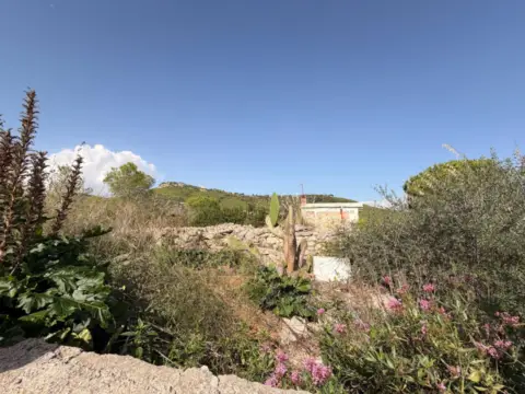 Terreno en Cogullada 2