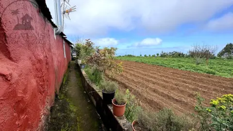 Finca rústica en Tenerife North