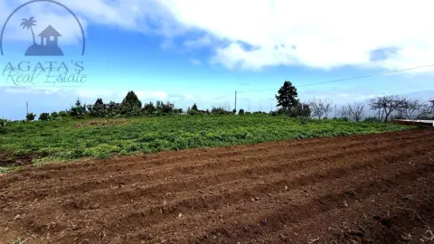 Finca rústica en Tenerife North