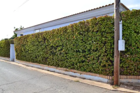 Chalet en calle Pulpejas Ii