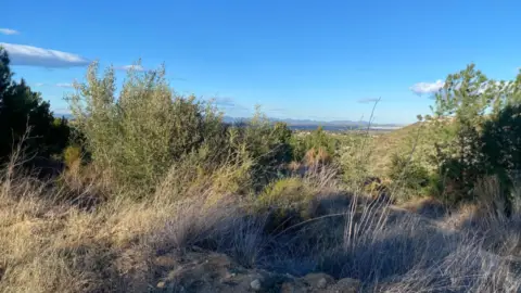 Terreno en Xarcos Secs