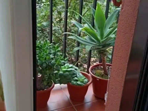 Piso en calle Ibarra