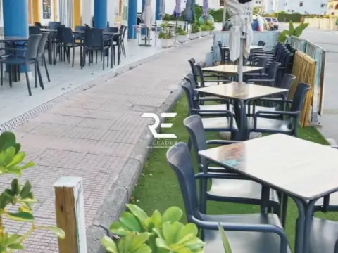 Piso – Oliva