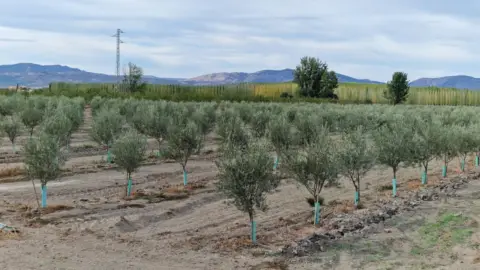 Finca rústica en calle Ctra Santa Fe A El Jau