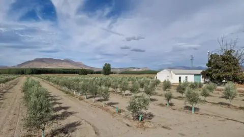 Finca rústica en calle Ctra Santa Fe A El Jau
