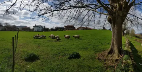 Terreno en Barrio del Rivero, 17