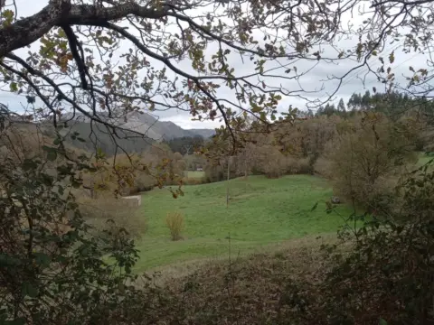 Terreno en calle Coo-Campogiro, nº 1060