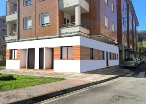 Piso en calle de las Asturias, 8