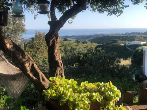 Chalet en calle Diseminado Almayate Alto, Polígono 36, Parcela 4-