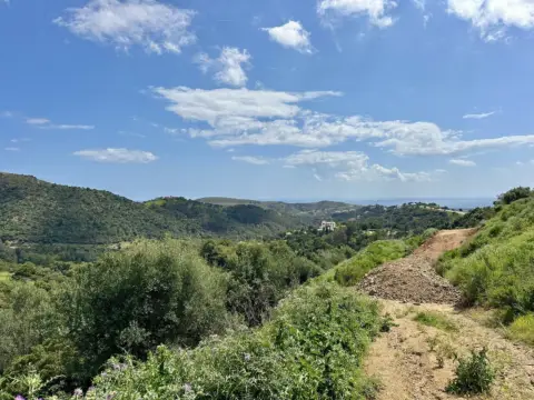 Terreno en Urbanización Montemayor Alto