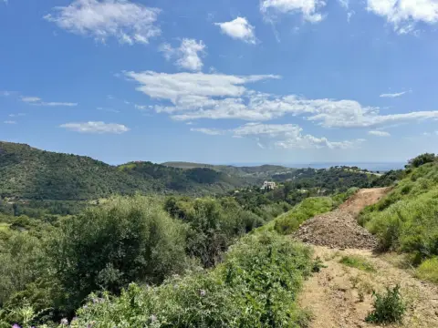 Terreno en Urbanización Montemayor Alto
