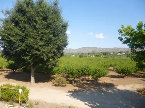 Finca rústica en Ctra. Valencia