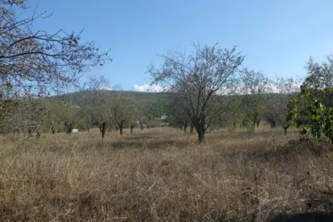 Finca rústica en La Farola