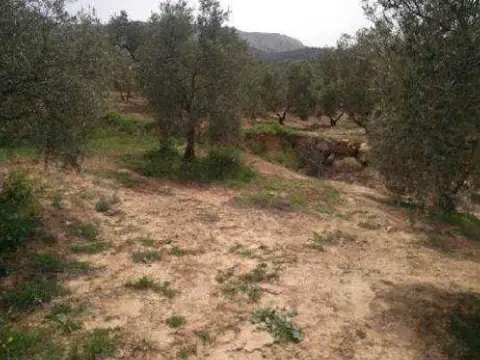 Terreno en calle de la Dehesa