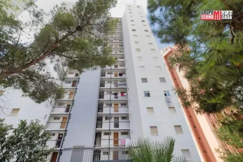 Pis – Benidorm