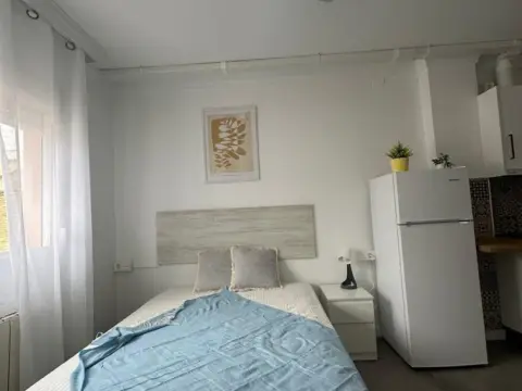 Estudio en Zaidin
