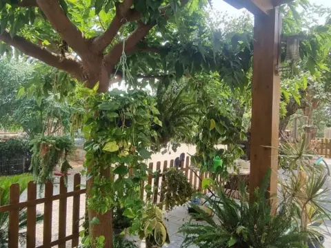 Finca rústica en Llevant